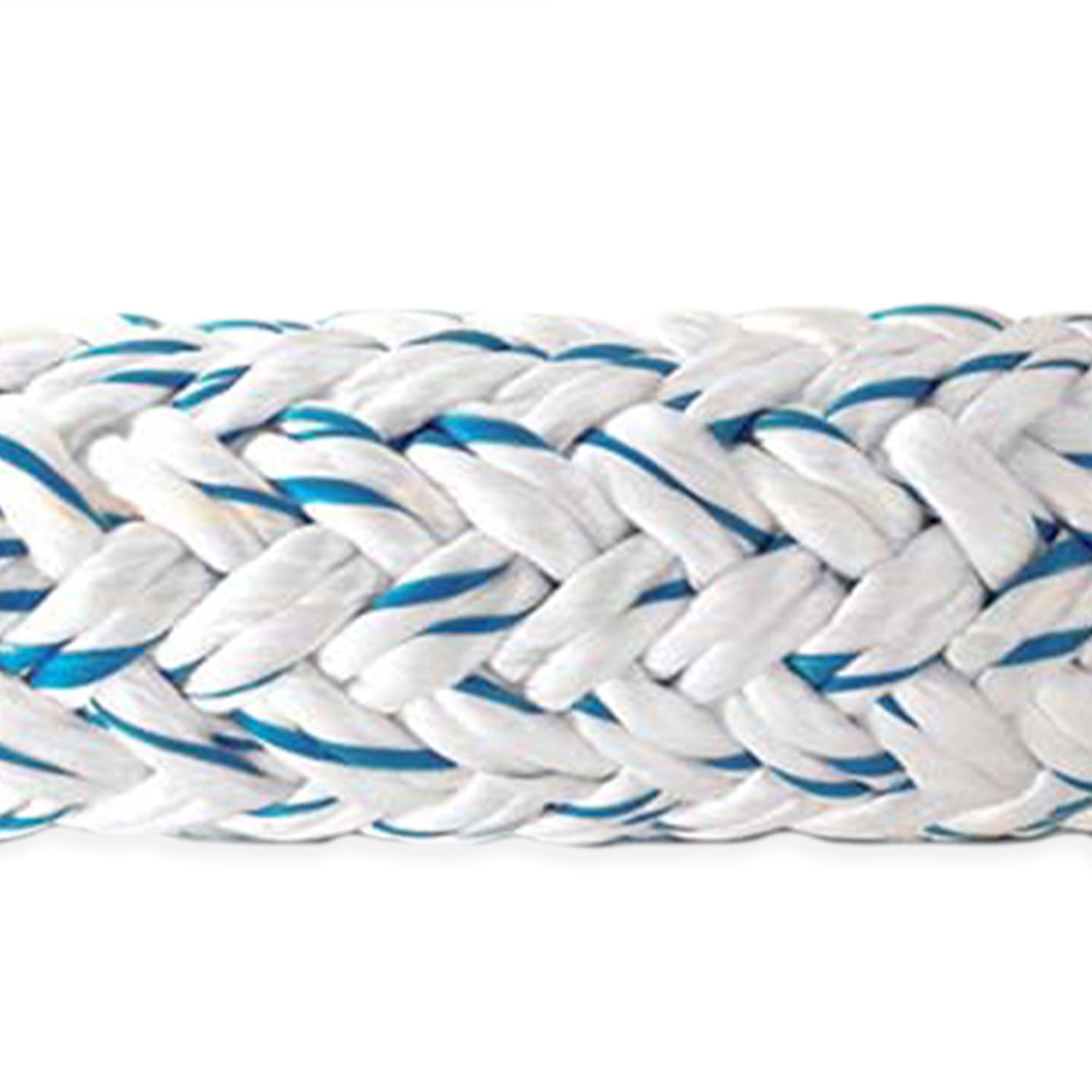 Estachas_24CordonesPoliptopilrnoPoliester