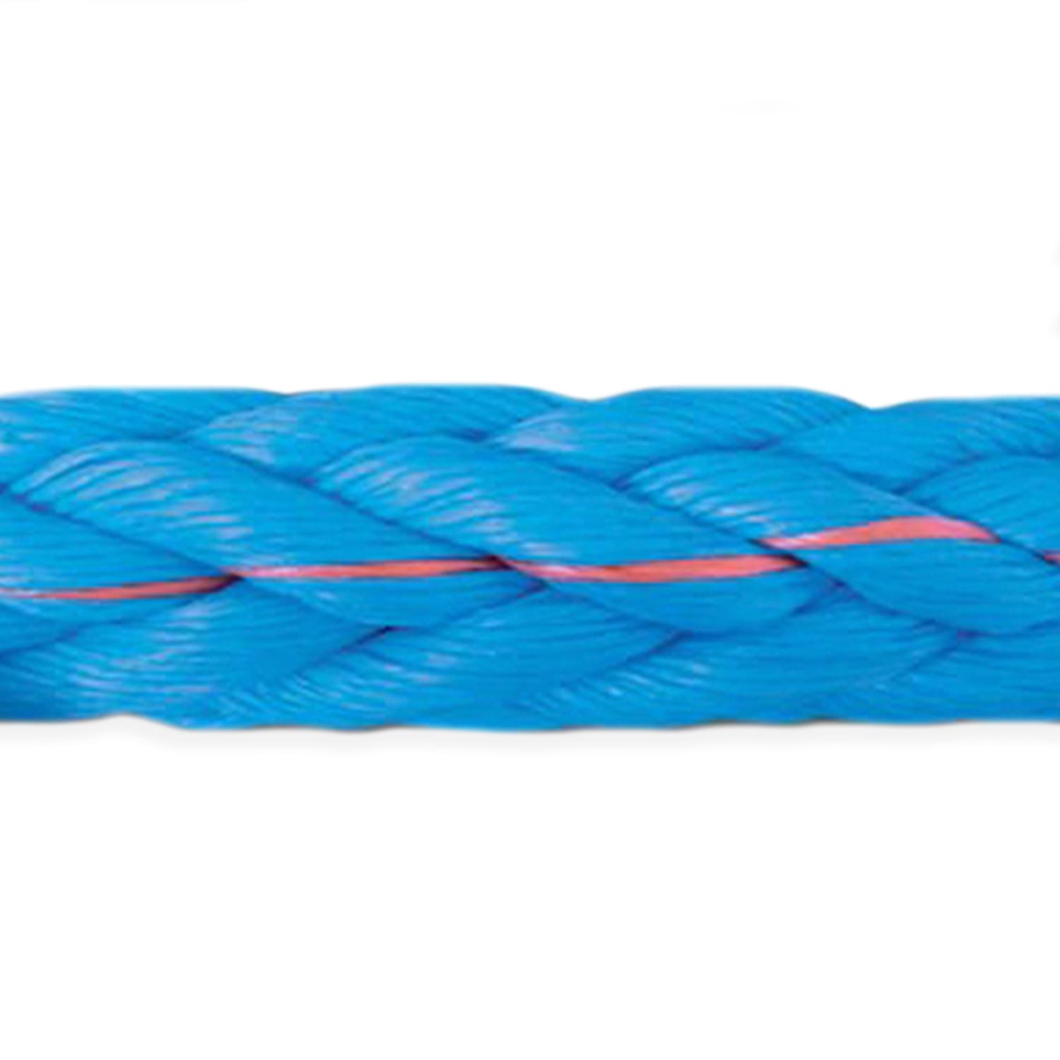 Estachas_8CordonesOcean12